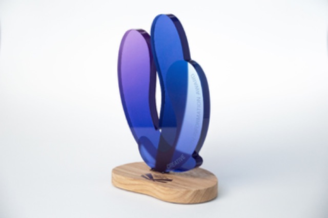 Inclusive Youth Information Award trophy